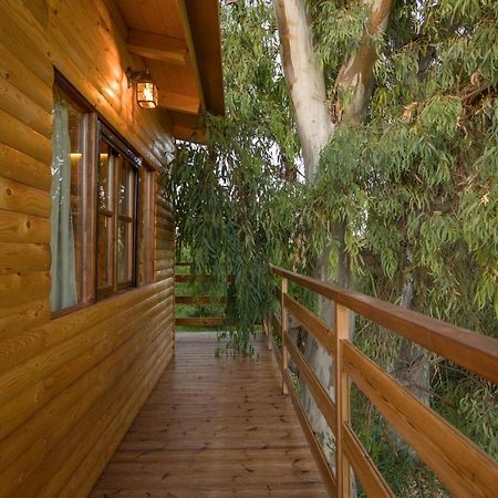 River Treehouse Laganas Bagian luar foto