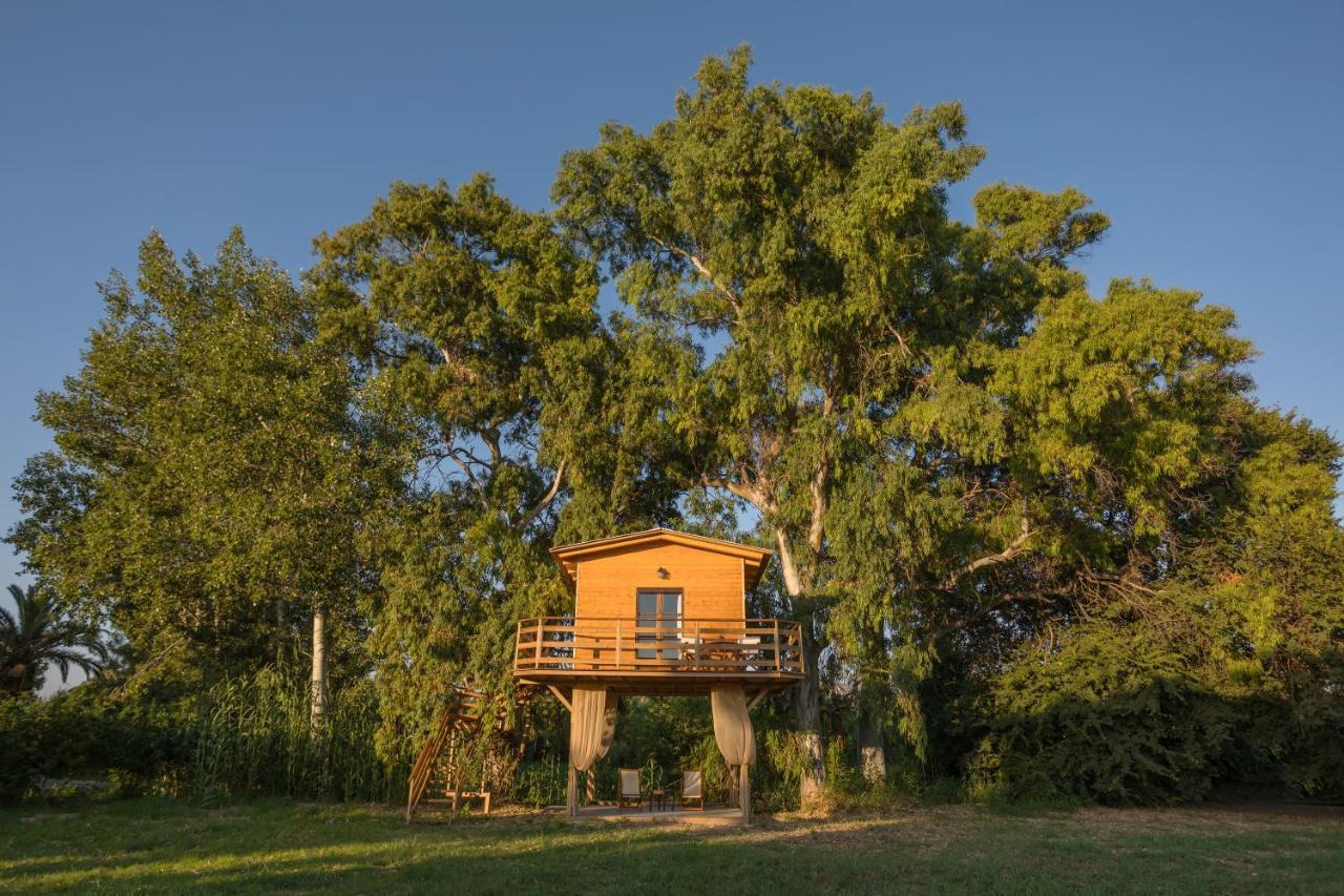 River Treehouse Laganas Bagian luar foto
